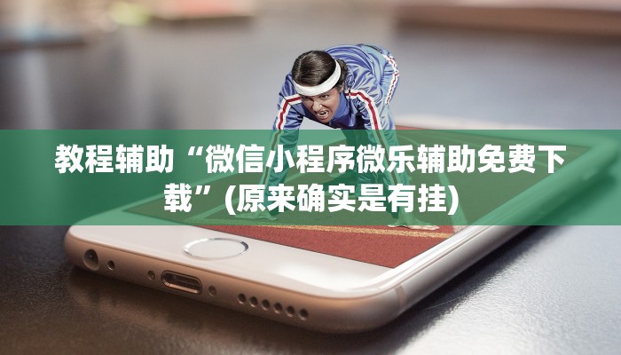 教程辅助“微信小程序微乐辅助免费下载”(原来确实是有挂)