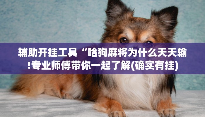 辅助开挂工具“哈狗麻将为什么天天输!专业师傅带你一起了解(确实有挂)