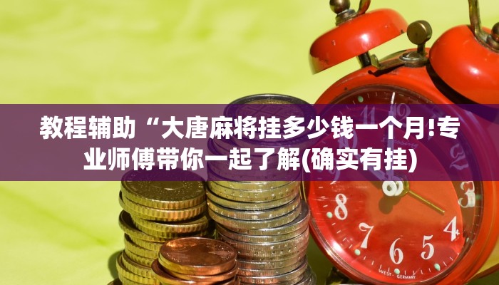 教程辅助“大唐麻将挂多少钱一个月!专业师傅带你一起了解(确实有挂)