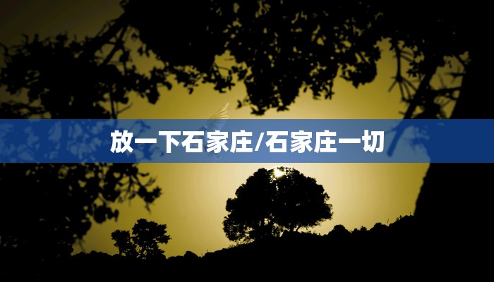 放一下石家庄/石家庄一切
