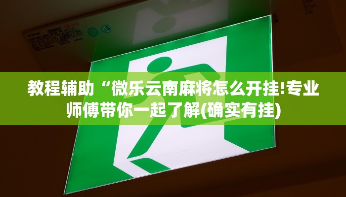 教程辅助“微乐云南麻将怎么开挂!专业师傅带你一起了解(确实有挂)