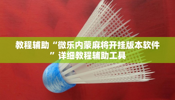 教程辅助“微乐内蒙麻将开挂版本软件”详细教程辅助工具