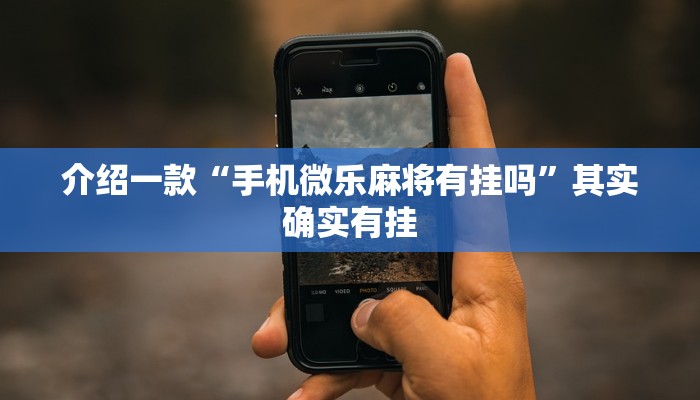 介绍一款“手机微乐麻将有挂吗”其实确实有挂