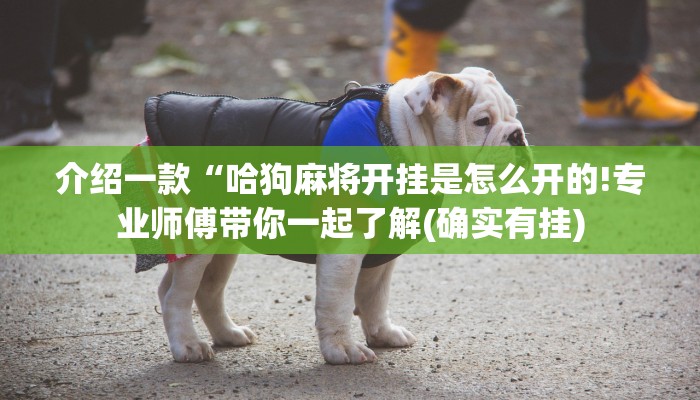 介绍一款“哈狗麻将开挂是怎么开的!专业师傅带你一起了解(确实有挂)