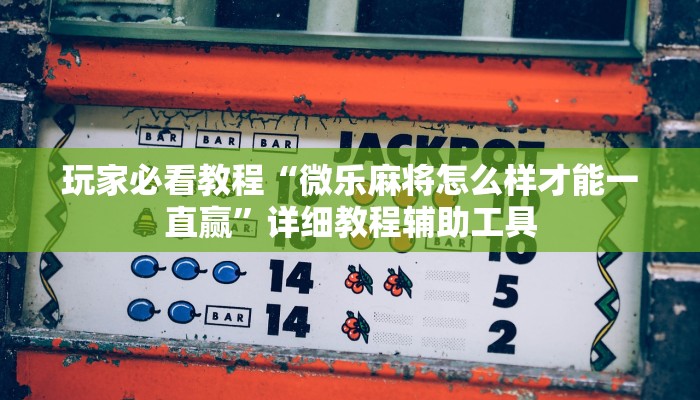 玩家必看教程“微乐麻将怎么样才能一直赢”详细教程辅助工具