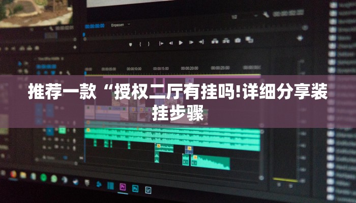 推荐一款“授权二厅有挂吗!详细分享装挂步骤
