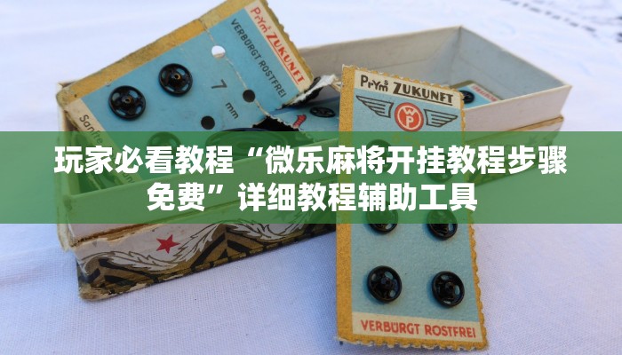 玩家必看教程“微乐麻将开挂教程步骤免费”详细教程辅助工具