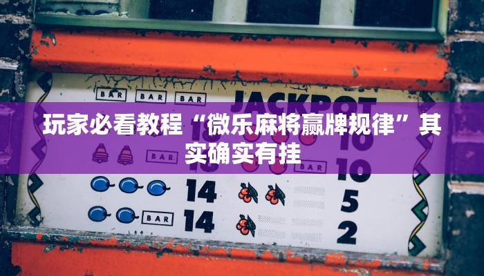 玩家必看教程“微乐麻将赢牌规律”其实确实有挂