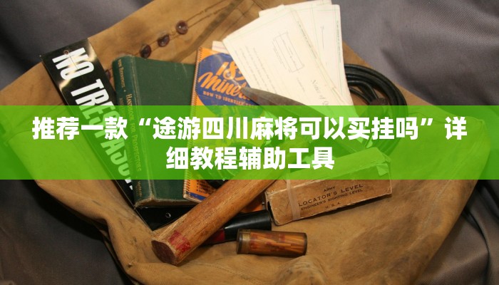 推荐一款“途游四川麻将可以买挂吗”详细教程辅助工具 推荐一款“途游四川麻将可以买挂吗”详细教程辅助工具