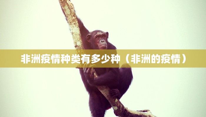 推荐一款“新518互娱有挂吗”(确实是有挂)-知乎