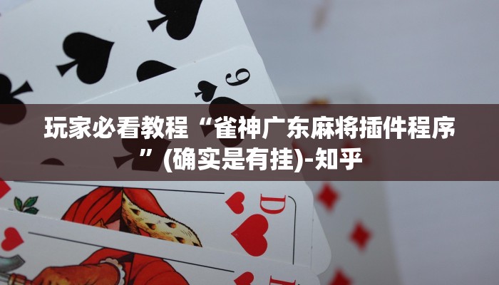 玩家必看教程“雀神广东麻将插件程序”(确实是有挂)-知乎