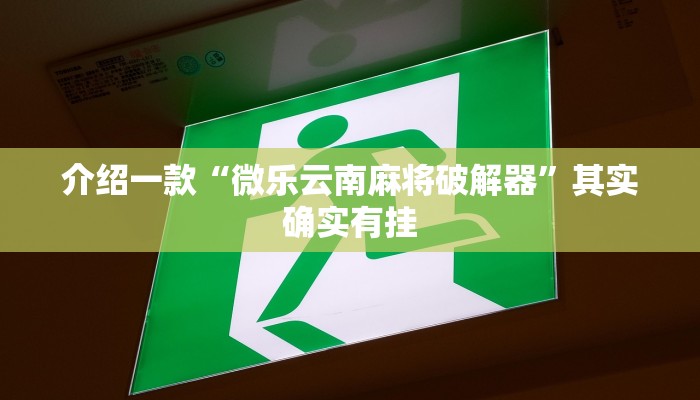 介绍一款“微乐云南麻将破解器”其实确实有挂