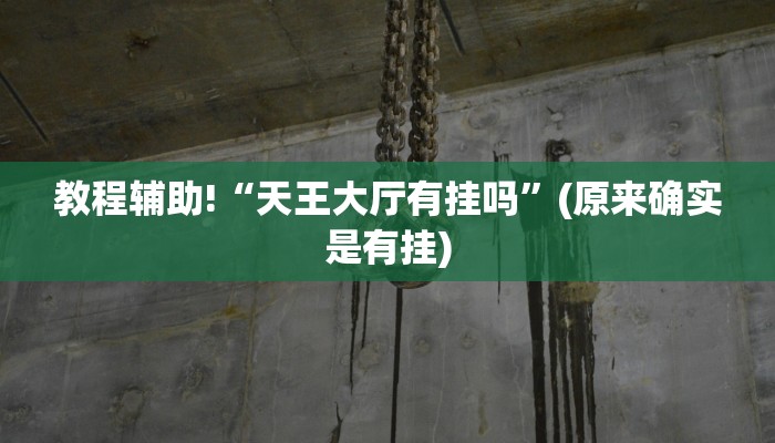 教程辅助!“天王大厅有挂吗”(原来确实是有挂)
