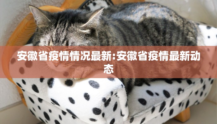 安徽省疫情情况最新:安徽省疫情最新动态