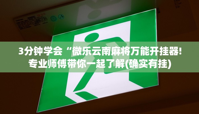 3分钟学会“微乐云南麻将万能开挂器!专业师傅带你一起了解(确实有挂)