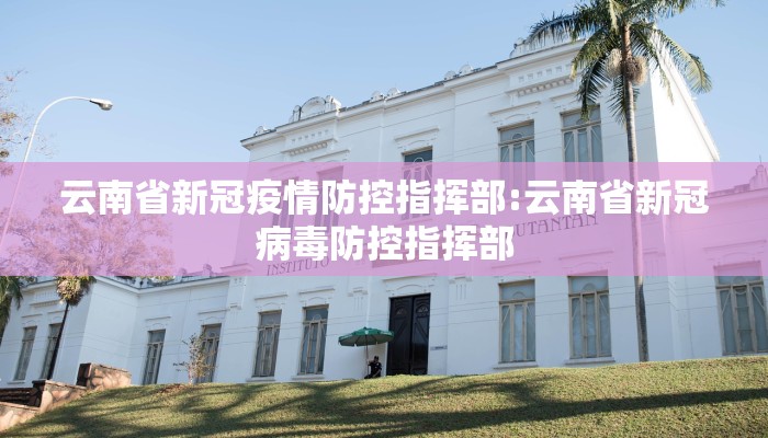 云南省新冠疫情防控指挥部:云南省新冠病毒防控指挥部