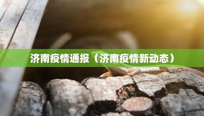 济南疫情通报（济南疫情新动态）