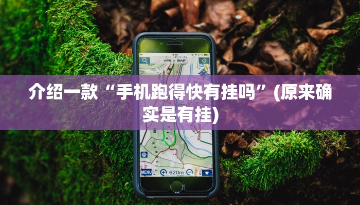 介绍一款“手机跑得快有挂吗”(原来确实是有挂)