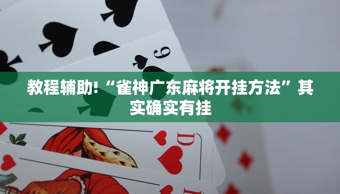 教程辅助!“雀神广东麻将开挂方法”其实确实有挂