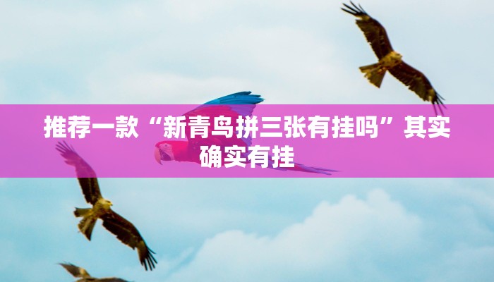 推荐一款“新青鸟拼三张有挂吗”其实确实有挂