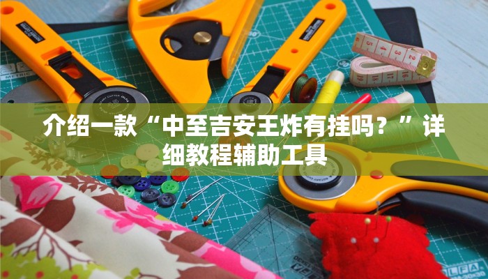 介绍一款“中至吉安王炸有挂吗？”详细教程辅助工具