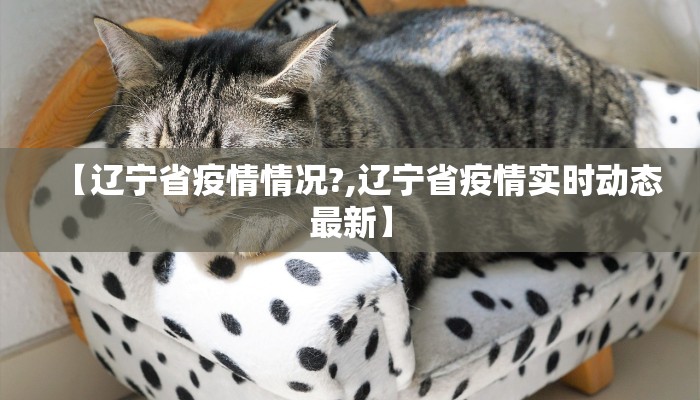【辽宁省疫情情况?,辽宁省疫情实时动态最新】