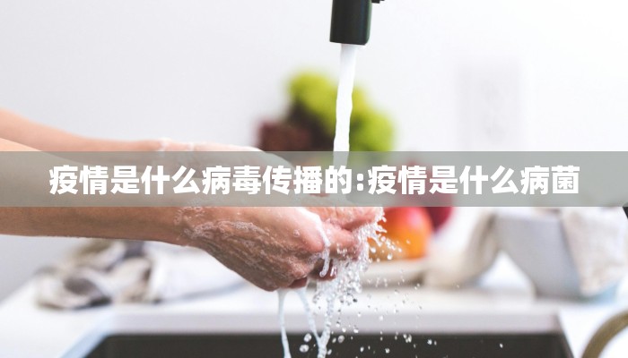 疫情是什么病毒传播的:疫情是什么病菌