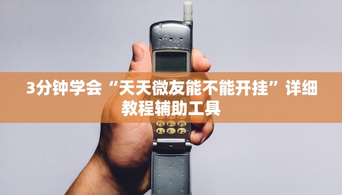 3分钟学会“天天微友能不能开挂”详细教程辅助工具
