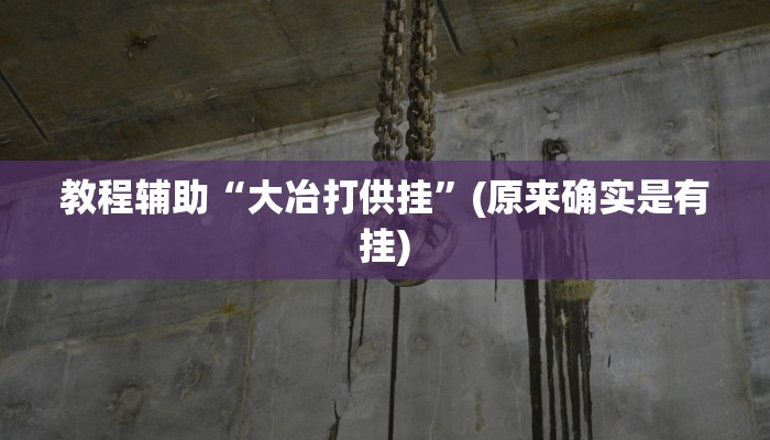 教程辅助“大冶打供挂”(原来确实是有挂) 教程辅助“大冶打供挂”(原来确实是有挂)