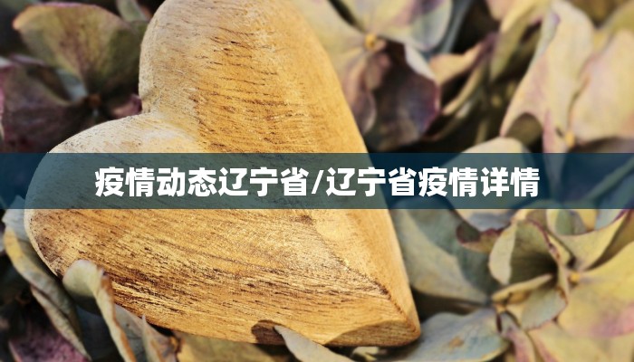 疫情动态辽宁省/辽宁省疫情详情