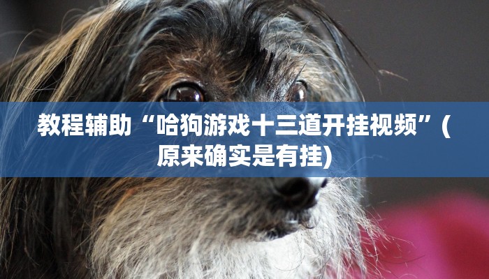 教程辅助“哈狗游戏十三道开挂视频”(原来确实是有挂)