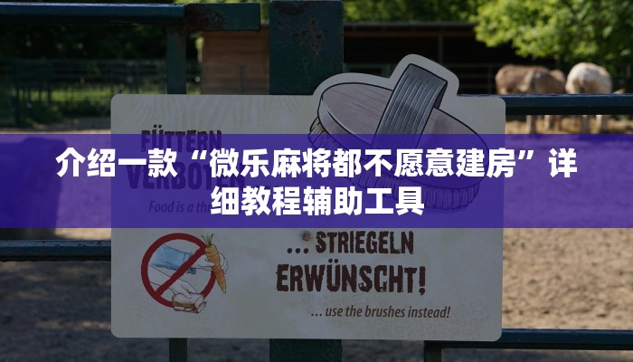 介绍一款“微乐麻将都不愿意建房”详细教程辅助工具
