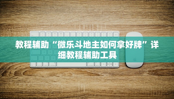 教程辅助“微乐斗地主如何拿好牌”详细教程辅助工具