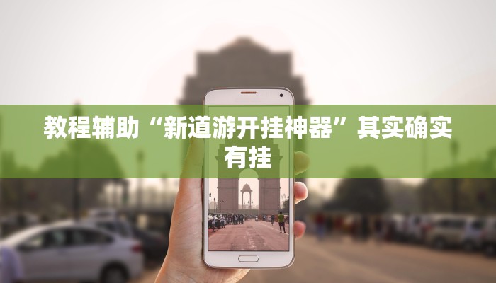 教程辅助“新道游开挂神器”其实确实有挂