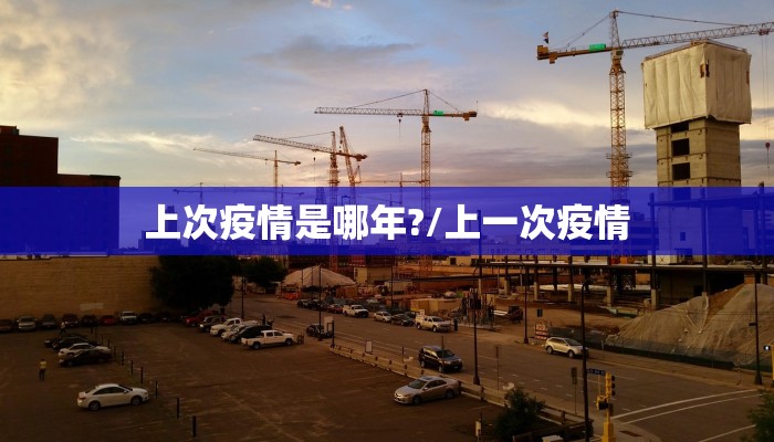 上次疫情是哪年?/上一次疫情