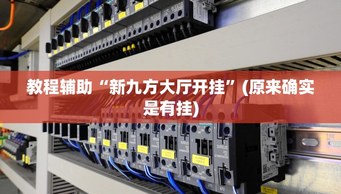 教程辅助“新九方大厅开挂”(原来确实是有挂)