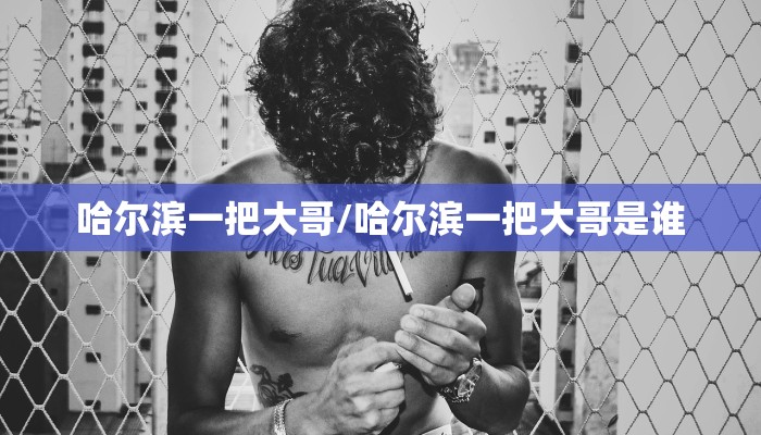 哈尔滨一把大哥/哈尔滨一把大哥是谁 哈尔滨一把大哥/哈尔滨一把大哥是谁