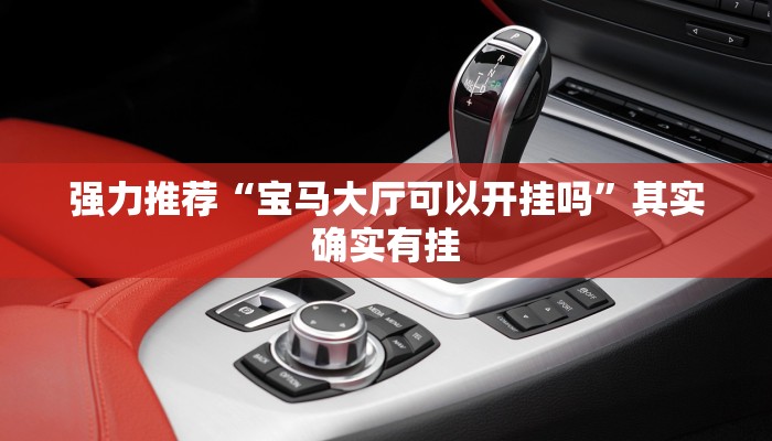 强力推荐“宝马大厅可以开挂吗”其实确实有挂