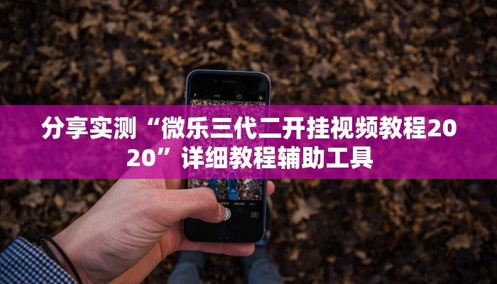 分享实测“微乐三代二开挂视频教程2020”详细教程辅助工具
