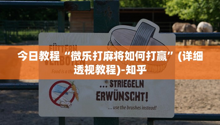 今日教程“微乐打麻将如何打赢”(详细透视教程)-知乎