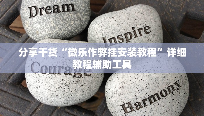 分享干货“微乐作弊挂安装教程”详细教程辅助工具