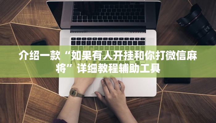 介绍一款“如果有人开挂和你打微信麻将”详细教程辅助工具