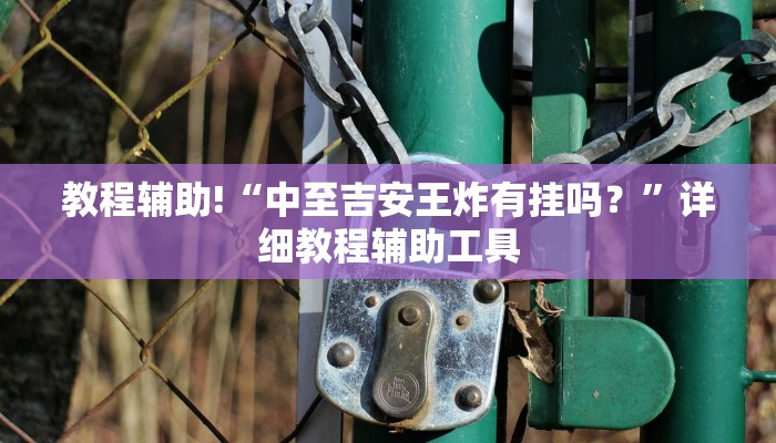 教程辅助!“中至吉安王炸有挂吗?”详细教程辅助工具 教程辅助!“中至吉安王炸有挂吗?”详细教程辅助工具