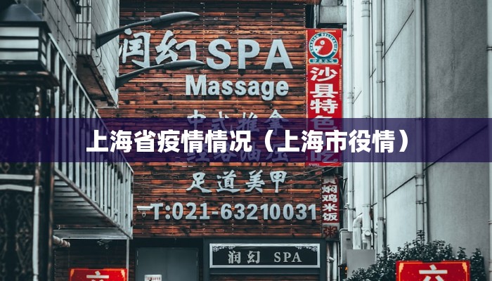 上海省疫情情况（上海市役情）