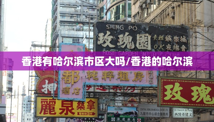 香港有哈尔滨市区大吗/香港的哈尔滨