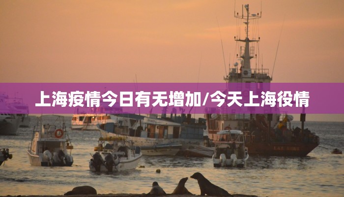 上海疫情今日有无增加/今天上海役情