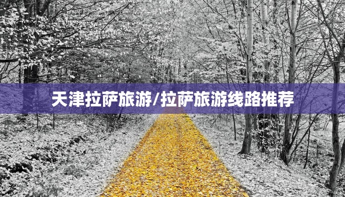 天津拉萨旅游/拉萨旅游线路推荐