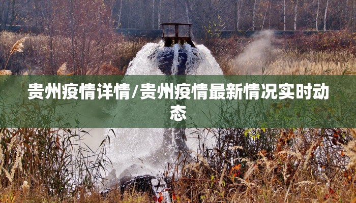 贵州疫情详情/贵州疫情最新情况实时动态