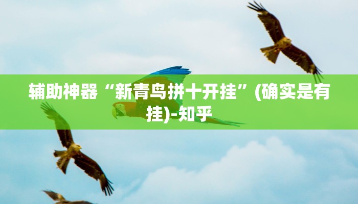 辅助神器“新青鸟拼十开挂”(确实是有挂)-知乎