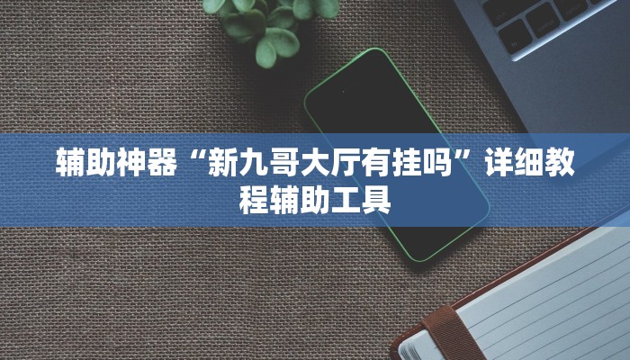 辅助神器“新九哥大厅有挂吗”详细教程辅助工具